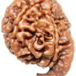 Rudraksha Ganesha