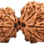 Rudraksha Gauri Ganesh nepal